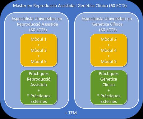 Representació esquemàtica de l’estructura del Màster en Reproducció Assistida i Genètica Clínica. 