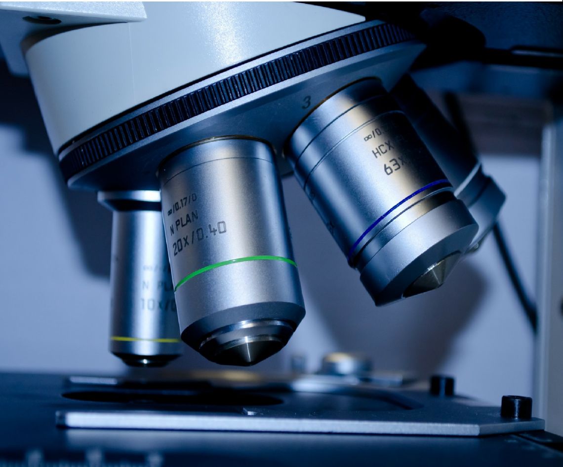 Microscopio II