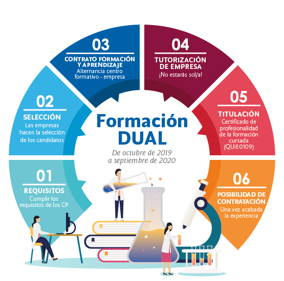 dual 2019