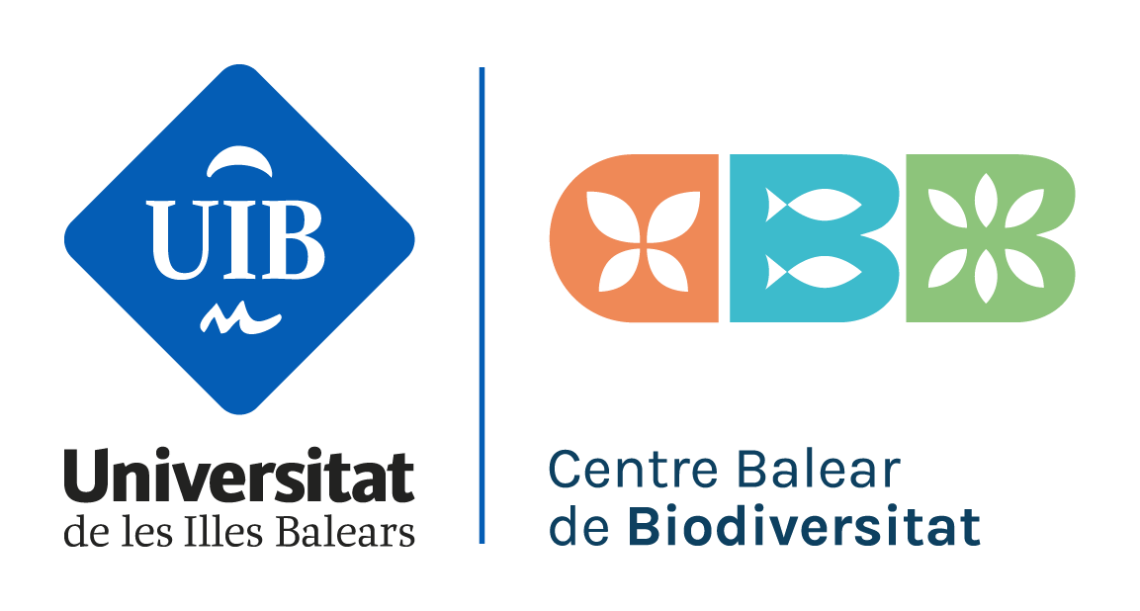UIB CBB