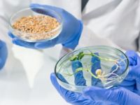 MCRD. Processament mostres aigua i aliments