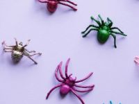 McU. Formació en antròpodes.